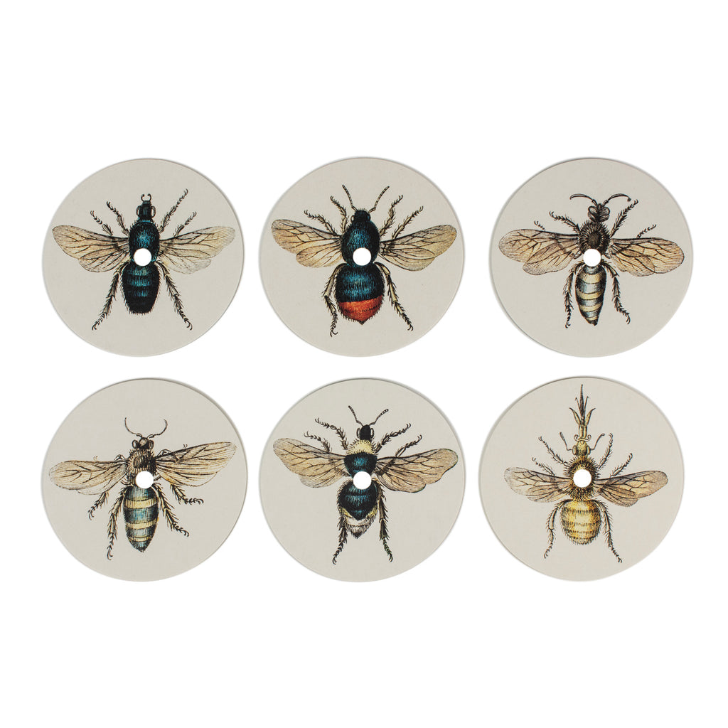 Produktbild-Summ-Summer - Insekten