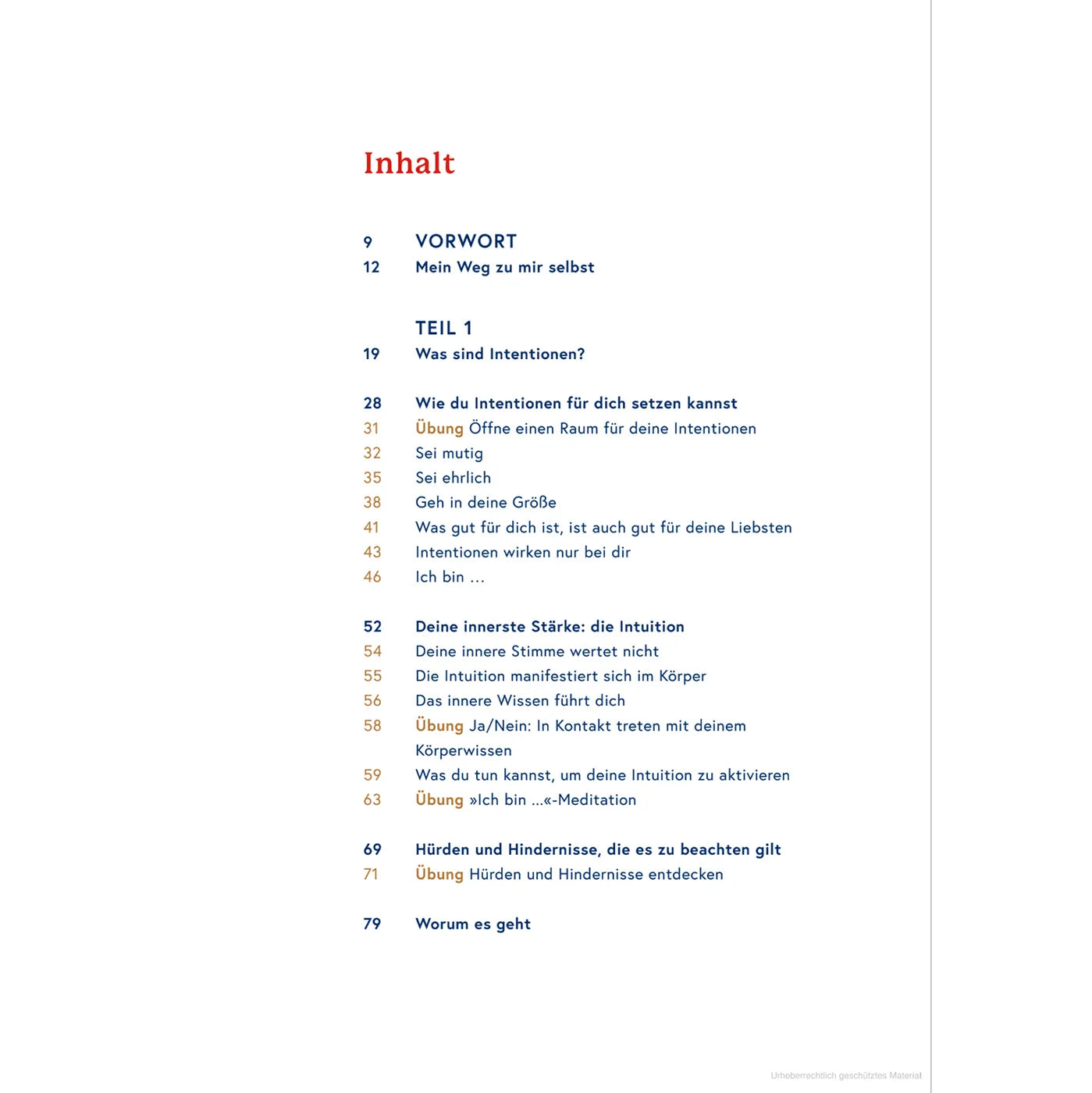 Produktbild-Lebe deine Intention