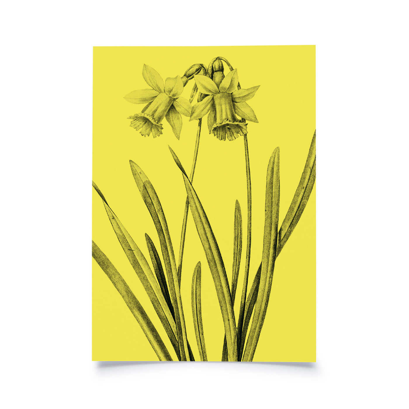 Produktbild Frühlingsblumen - Gelb
