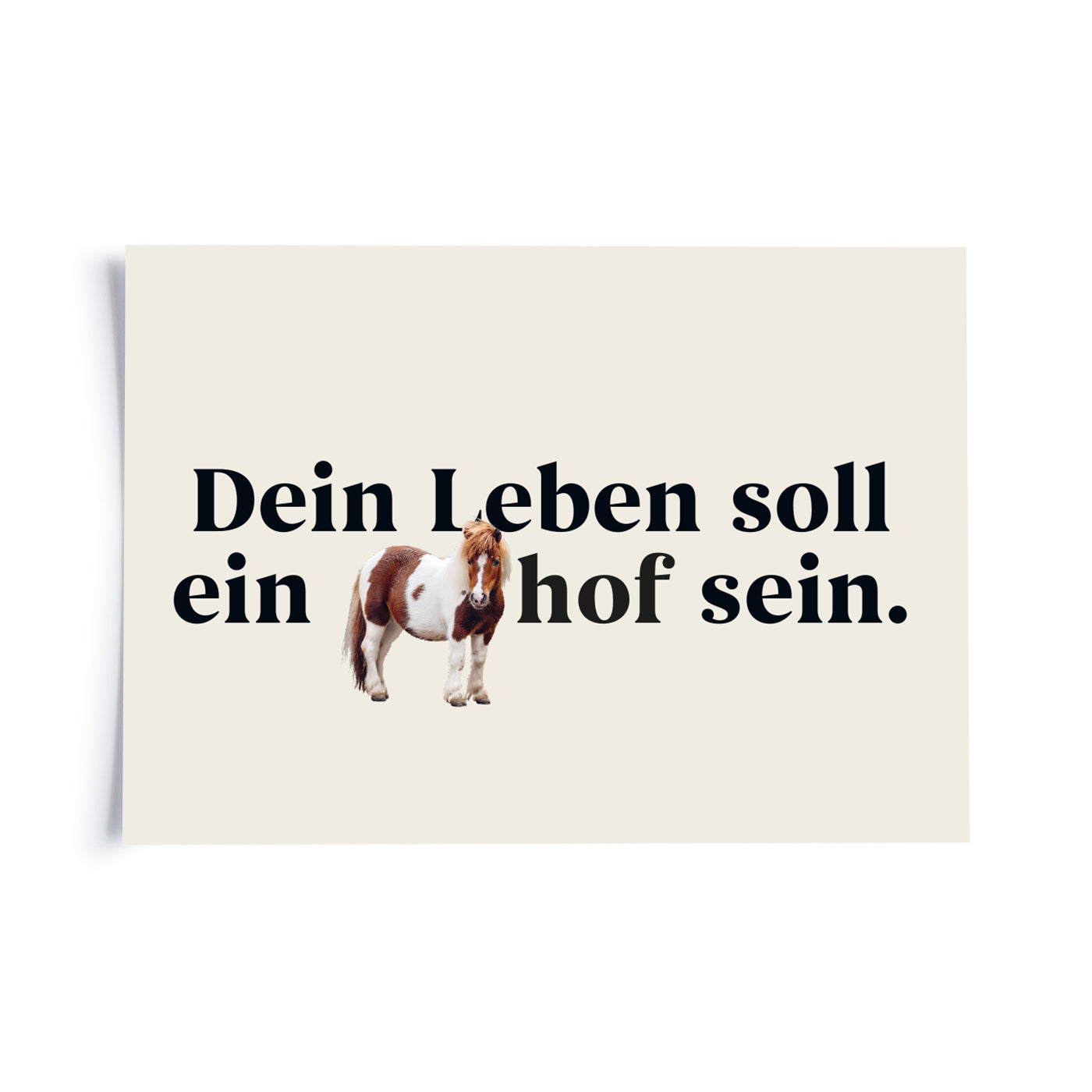 Sprichwörter - Dein Leben soll ein Ponyhof sein.